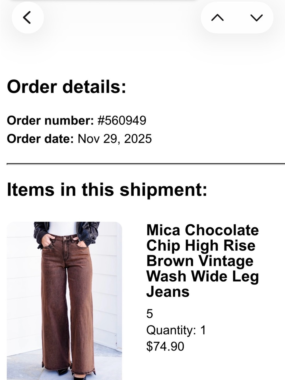 Mica Chocolate Chip High-Rise Brown Wide-Leg Jeans